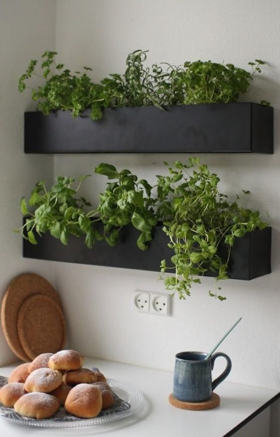 Plantes - petits espaces - inspiration 008